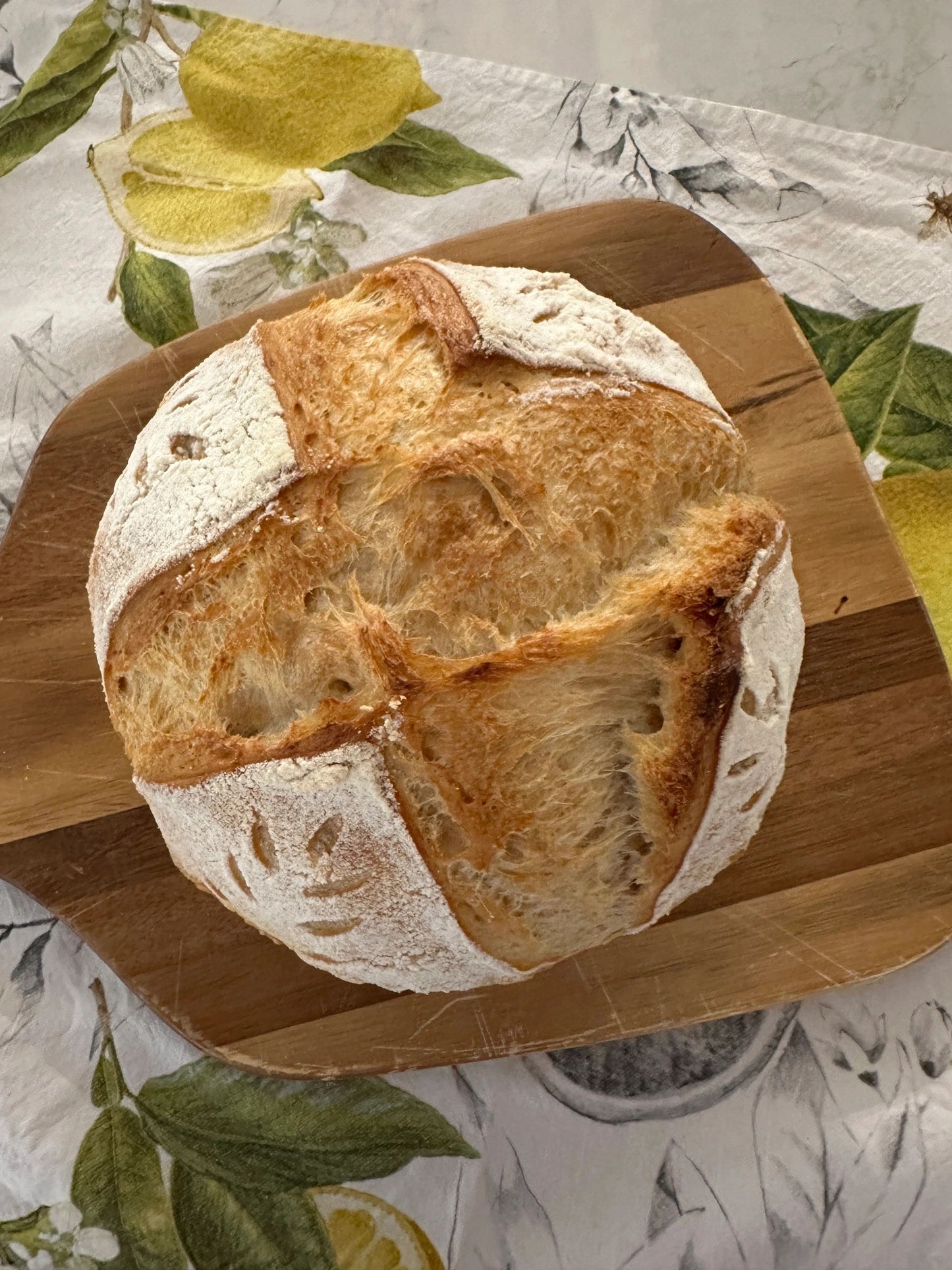 Decadent Chocolate & Divine Original Sourdough Duo