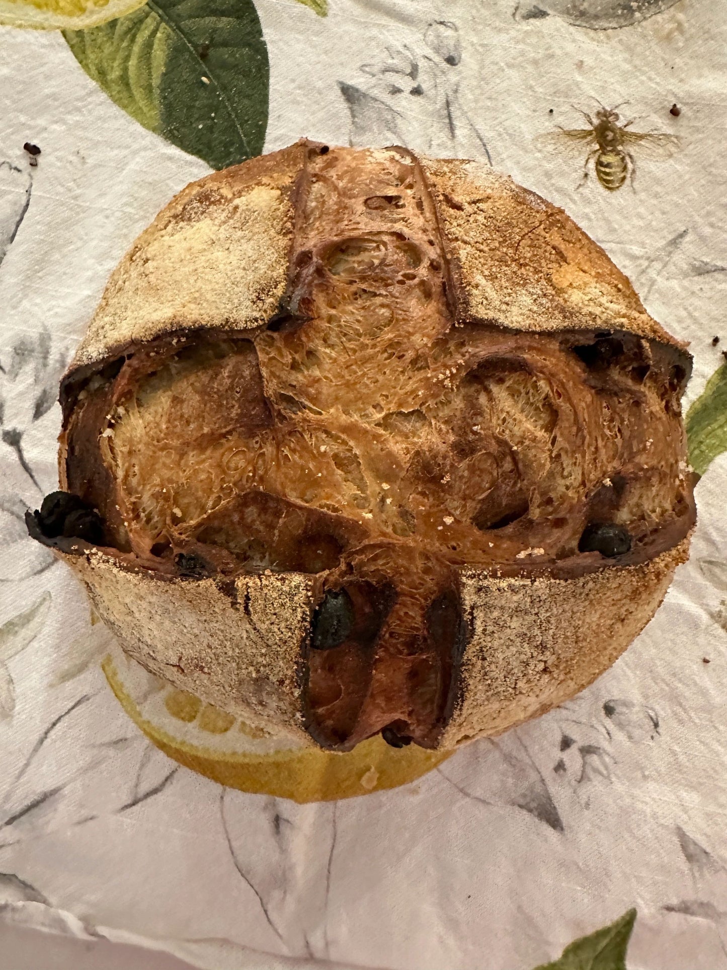 Brown Sugar Cinnamon Raisin Single Full Loaf Box