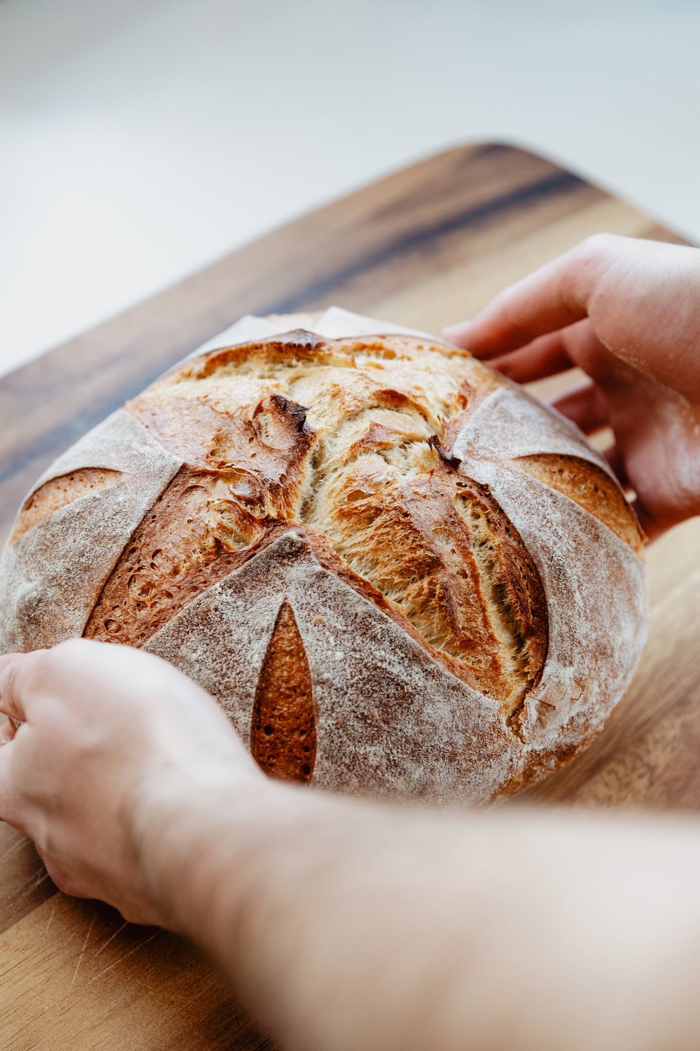 Original Artisan Sourdough